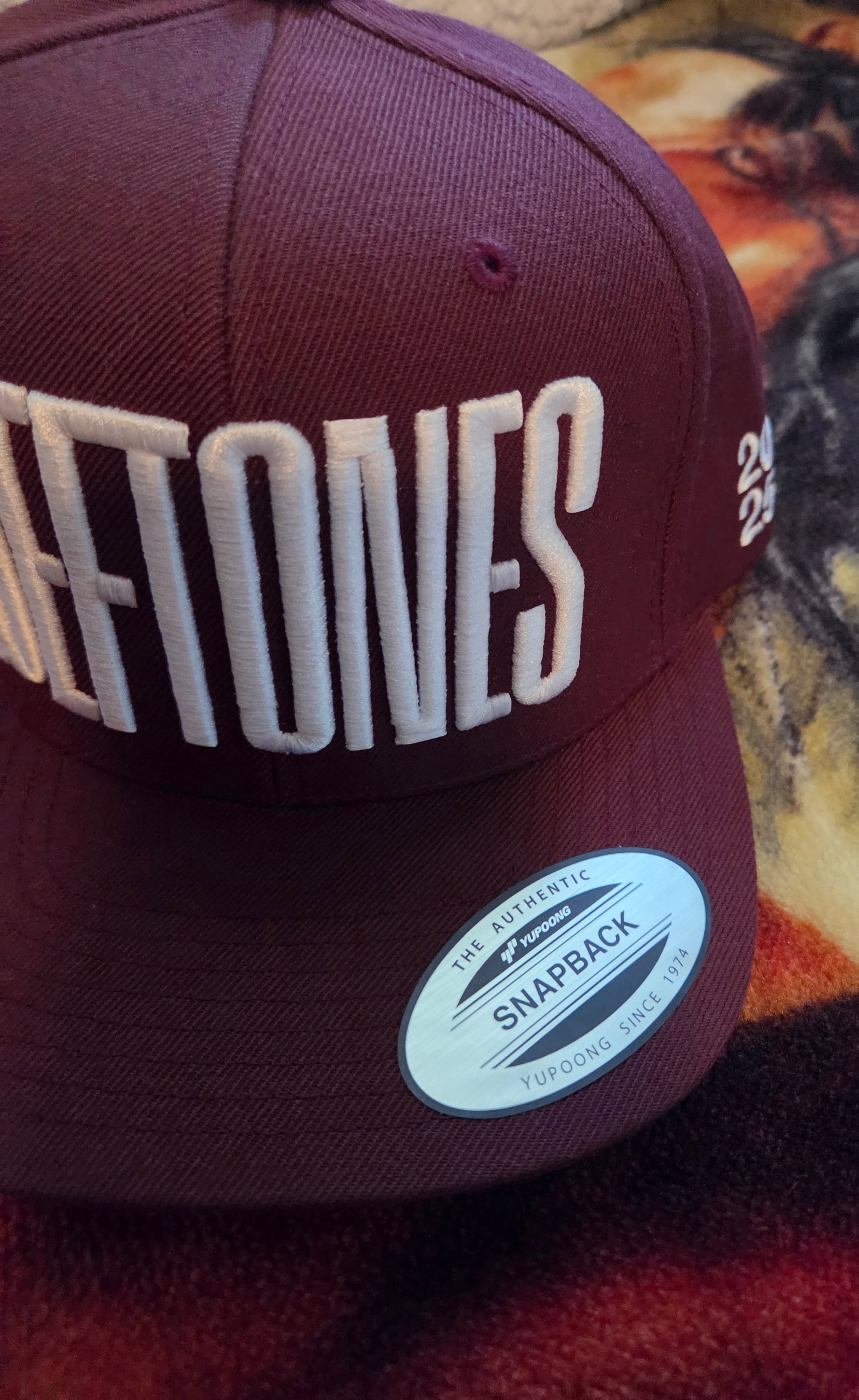 Deftones 2025 Snapback Hat